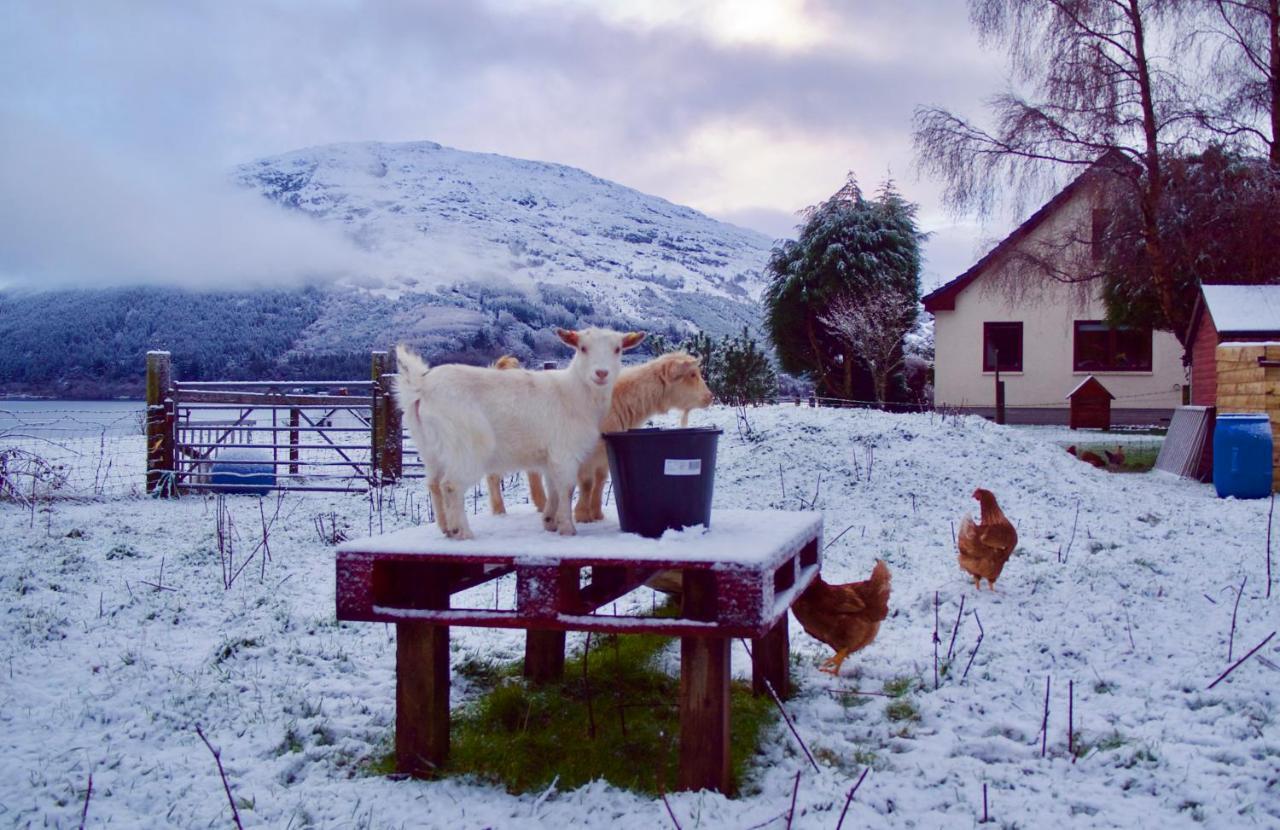 Highland Croft B&B Onich Exterior foto